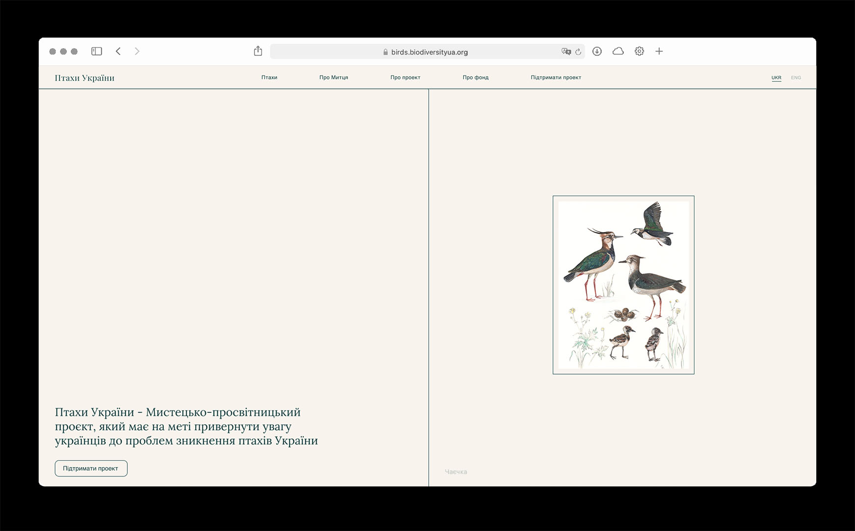 Maya Nguyen website home screen