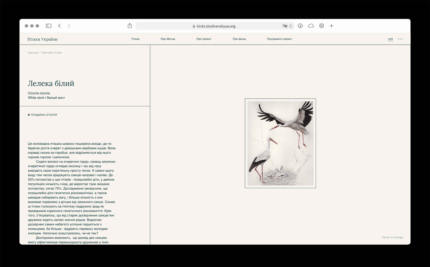 Maya Nguyen website phone screens