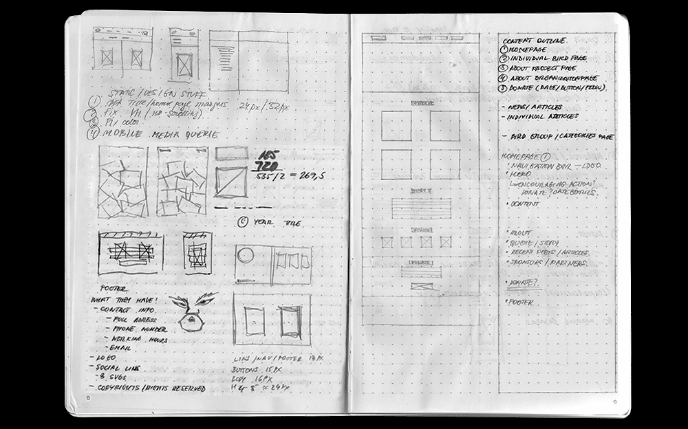 Birds of Ukraine website sketches