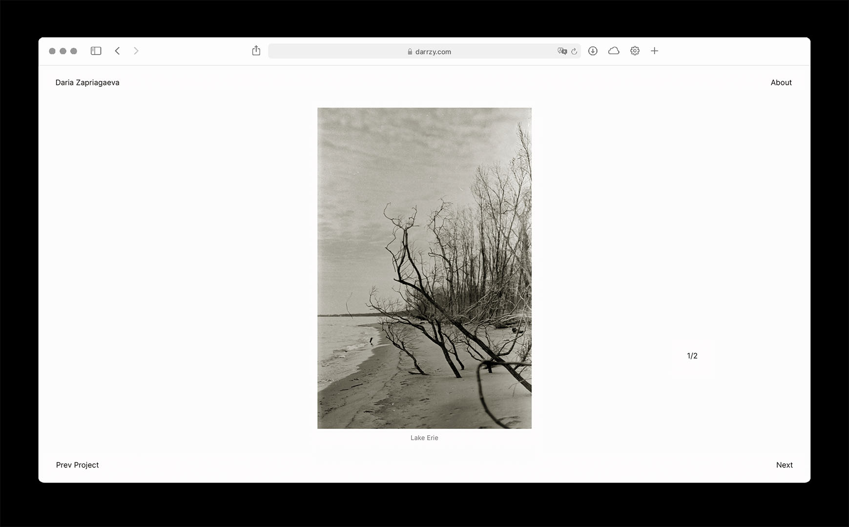 Daria Zapriagaeva website project screen
